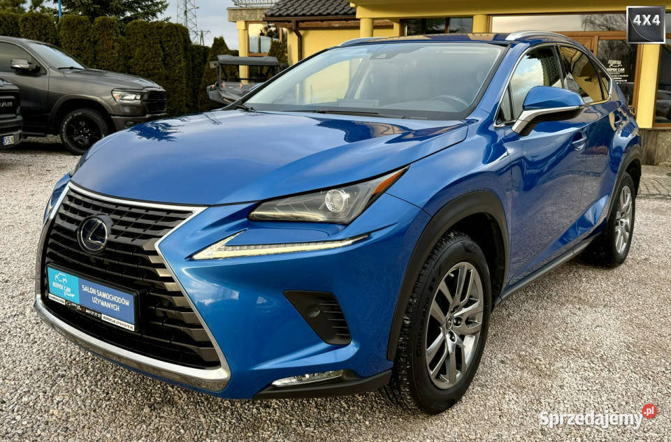 Lexus NX 300hHybryda4x4FullEuropa I 20142021 niebieski Kamienna Góra