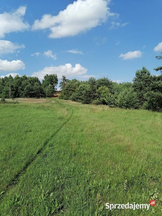 Sprzedam działkę mazowieckie Malamówka sprzedam