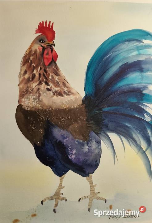 Akwarela Akwarelka Obraz pt Strażnik Świtu Malarstwo sprzedam