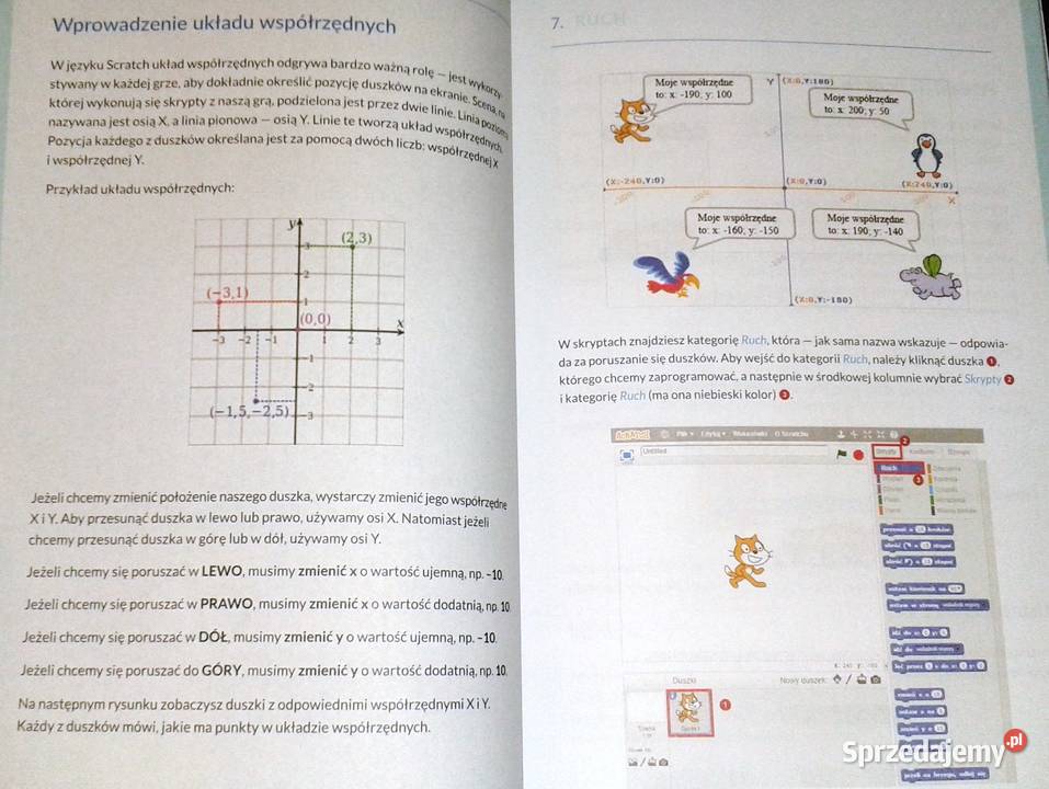 Młodzi giganci programowania Scratch Radosław