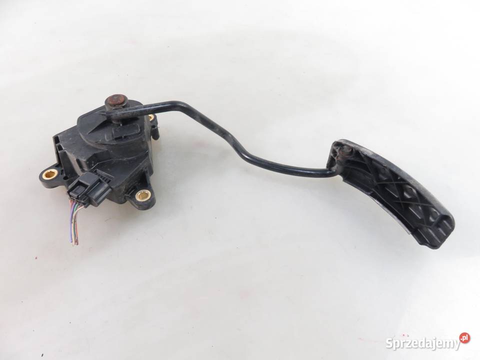 POTENCJOMETR GAZU RENAULT SCENIC II 15 dCi 19