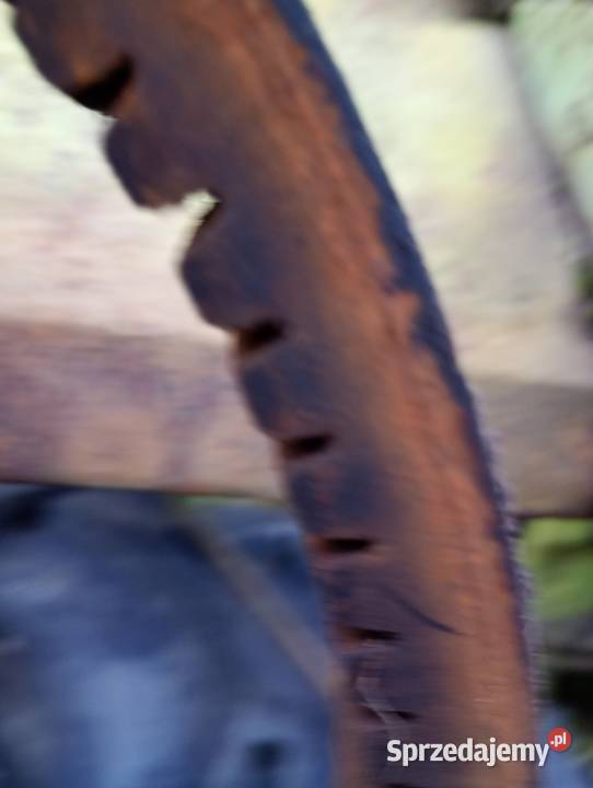 Pas jezdny claas consul Cewice