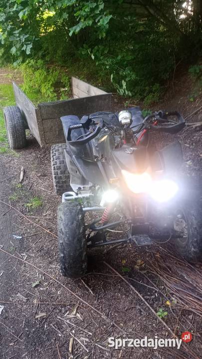 Sprzedam quada 250 z przyczepka Bashan Wadowice