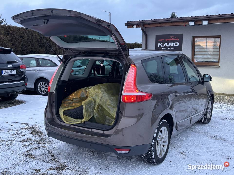 Renault Megane Scenic immobilizer Paniówki