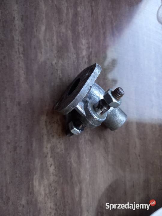 Kruciec zak rys Sokołów Podlaski sprzedam