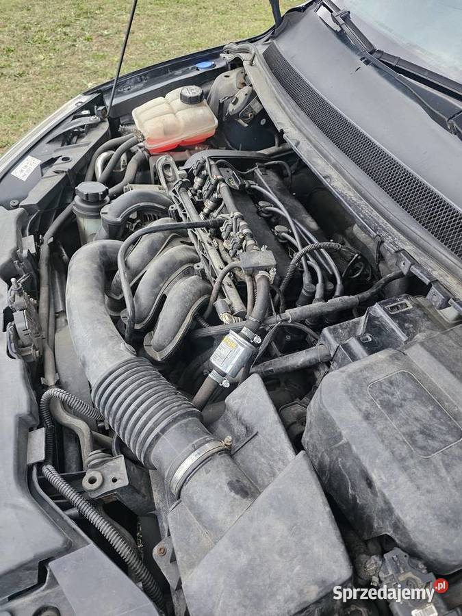 Ford Focus LPG Bukowice