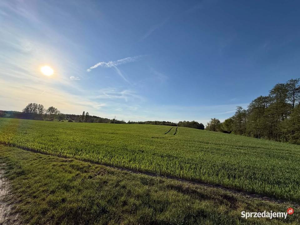 Gospodarstwo rolne z siedliskiem Sompolno