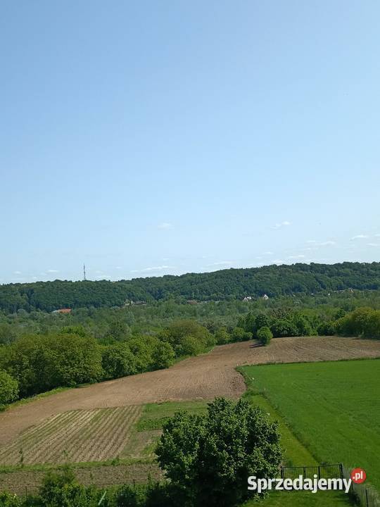 Działka 3ha widok Kazimierz dolny Wojszyn