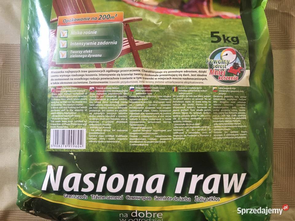 Planta 5 nasiona Trawnik wolno rosnący 200 m kw Kołobrzeg