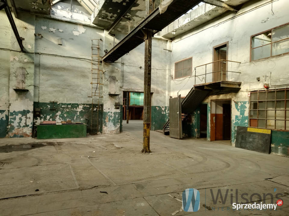 Ogłoszenie lokal Wrocław 825m2 dolnośląskie