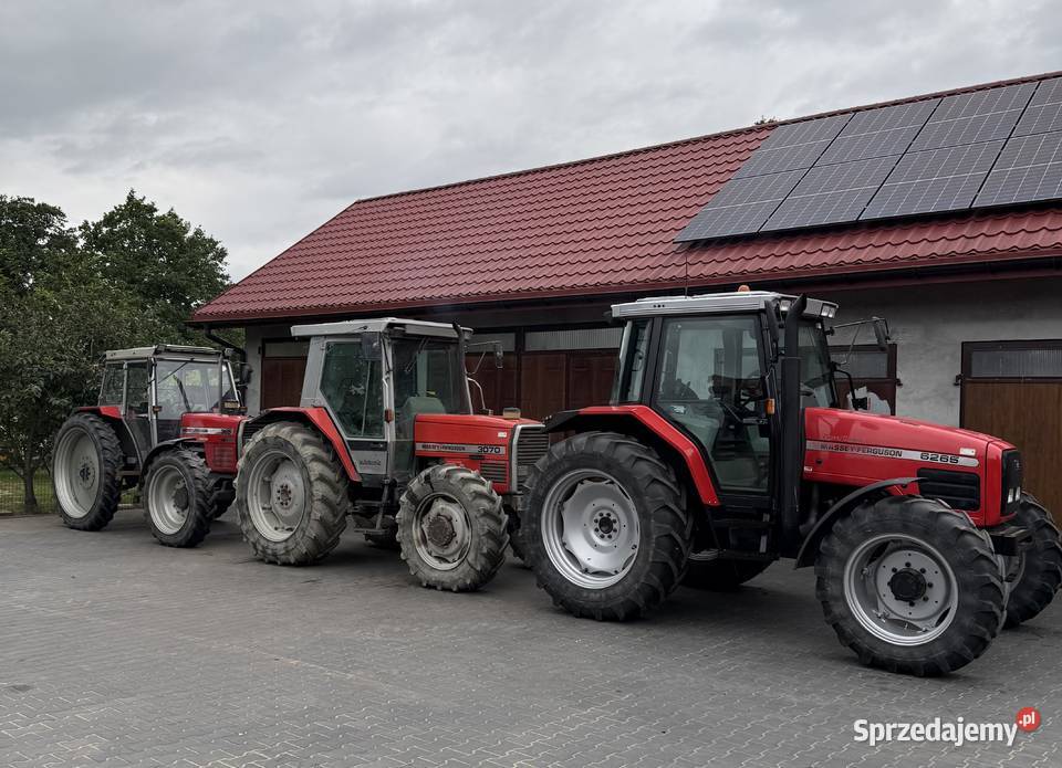 MF 3070 4x4 Ferguson 365 Świeżo sprowadzony Burzenin sprzedam