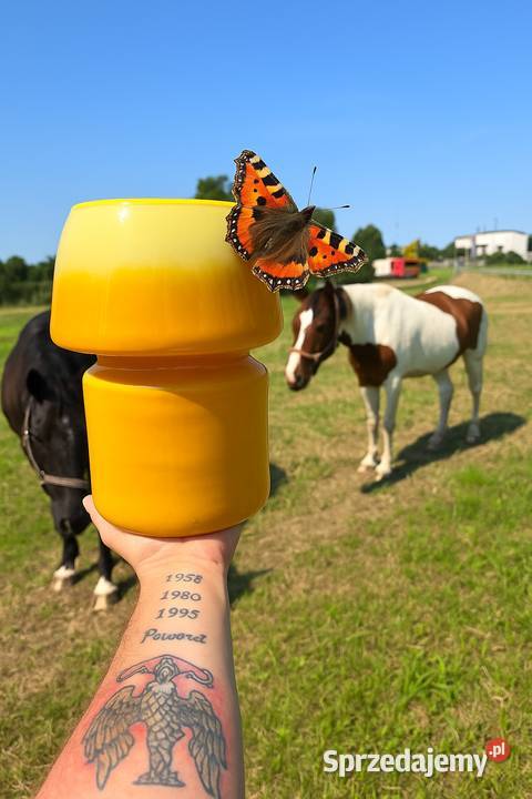 Skup antyków kryształów PRL staroci opróżnianie Ruda Śląska