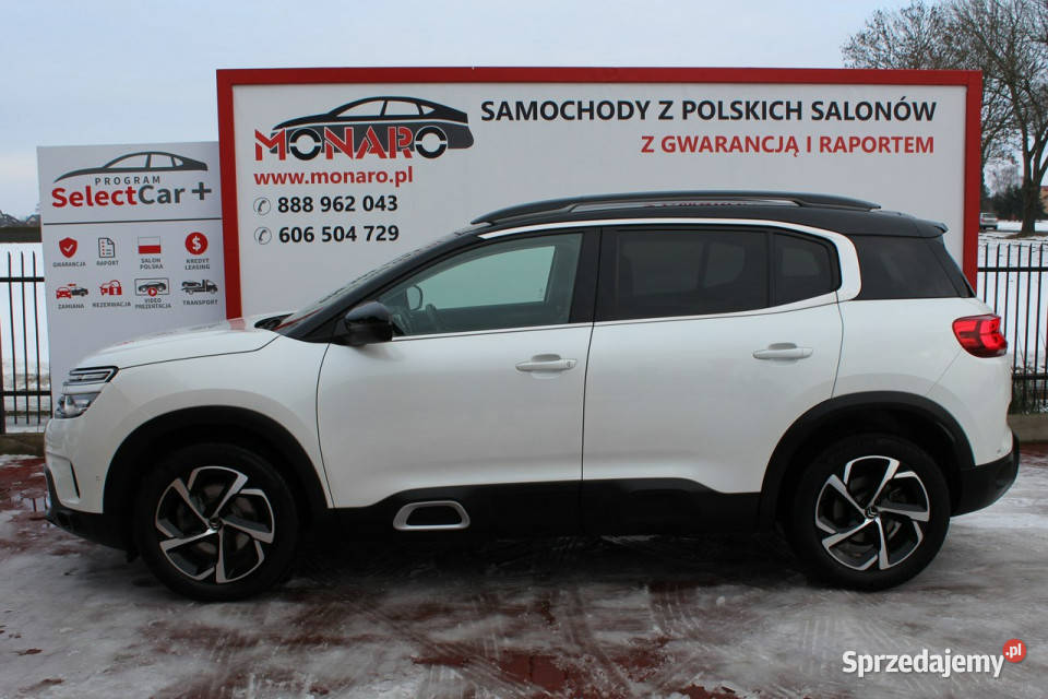 Citroen C5 Aircross Shine 15 Blue HDi 130 Citroën kujawsko-pomorskie