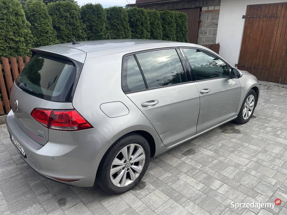 Volkswagen Golf 16 TDI BlueMotion 2015 diesel wielkopolskie