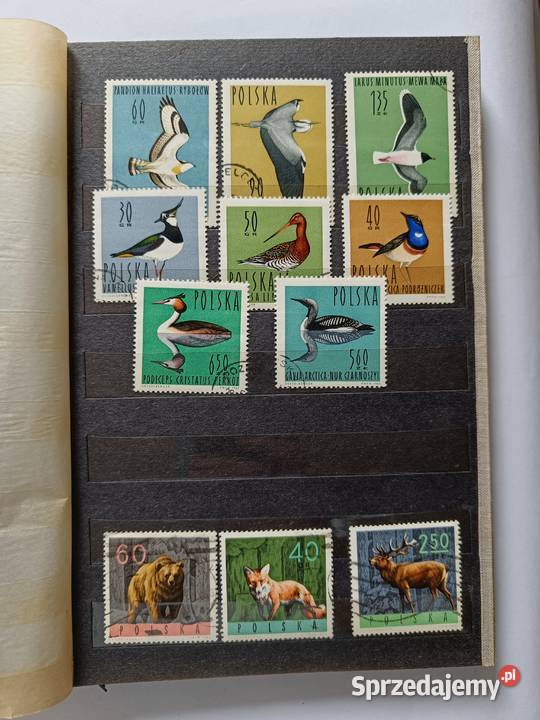 Kolekcja Polska Kuba Izrael Z Radziecki Węgry Filatelistyka Poznań