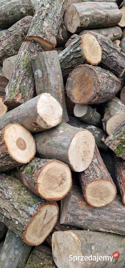 Grab Dąb Drewno Opałowe Dowoz Kominek Ukladane Augustów