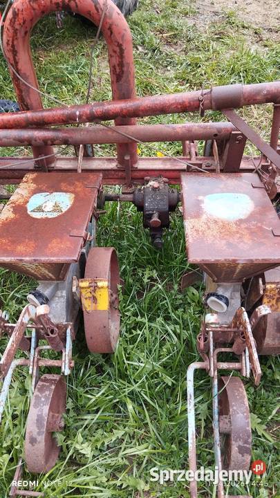 Siewnik do buraków Kosina