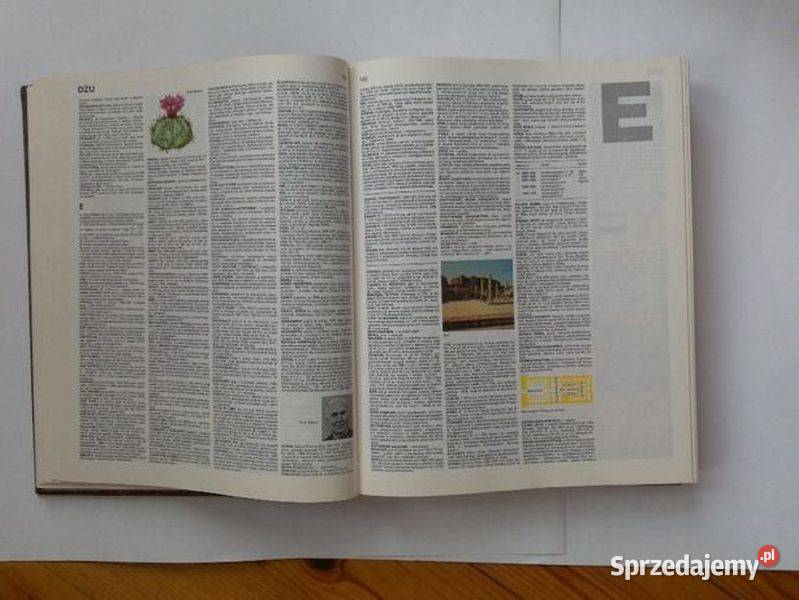 Encyklopedia Popularna PWN 1982 Antyki, Sztuka, Kolekcje Zamość