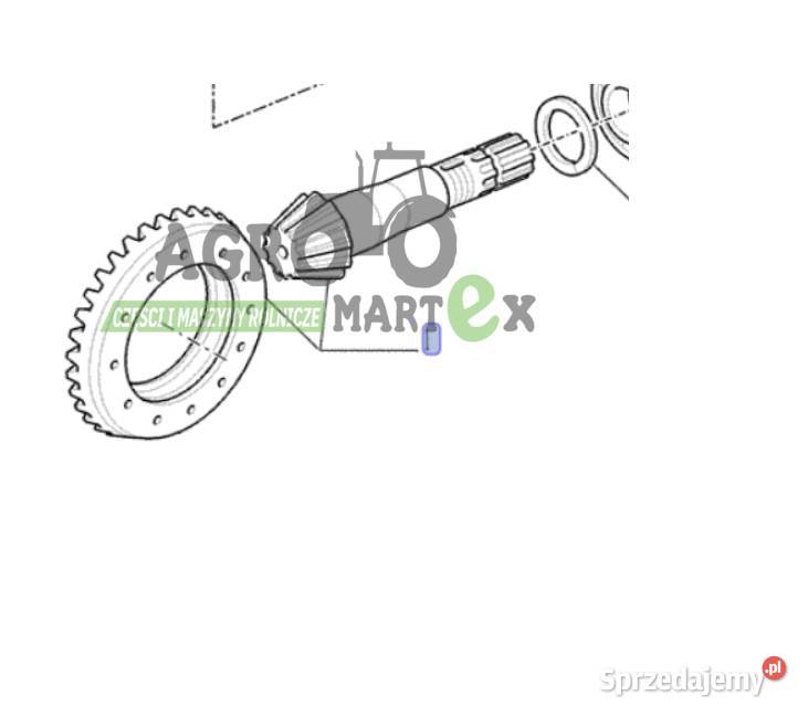 84273812 KOŁO ZĘBATE STOŻKOWE CNH