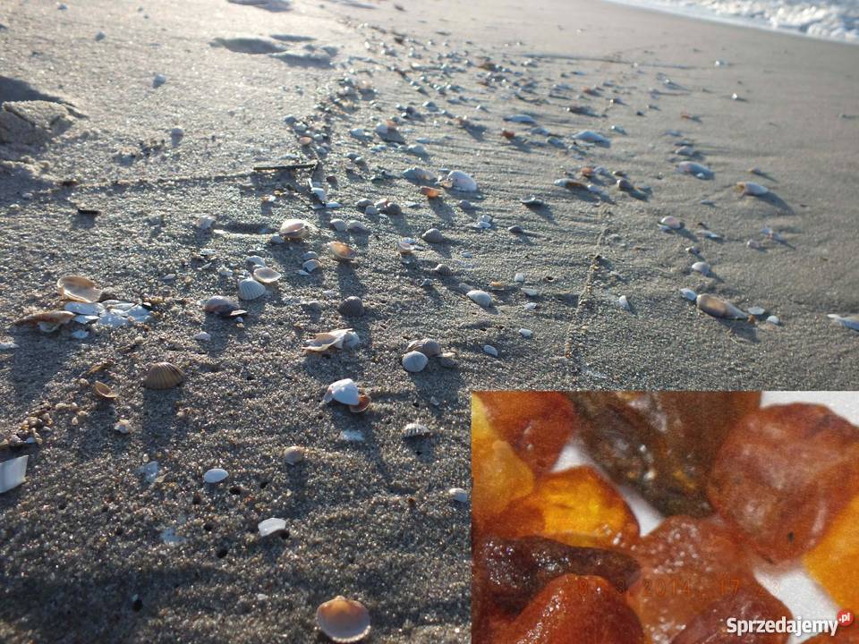 Bursztyn bałtycki pomorskie Kąty Rybackie