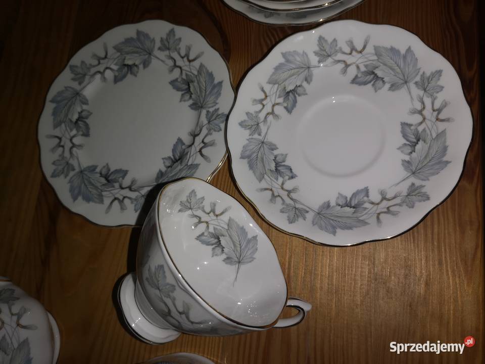 Serwis Royal Albert England Silver Maple pomorskie Gdańsk sprzedam