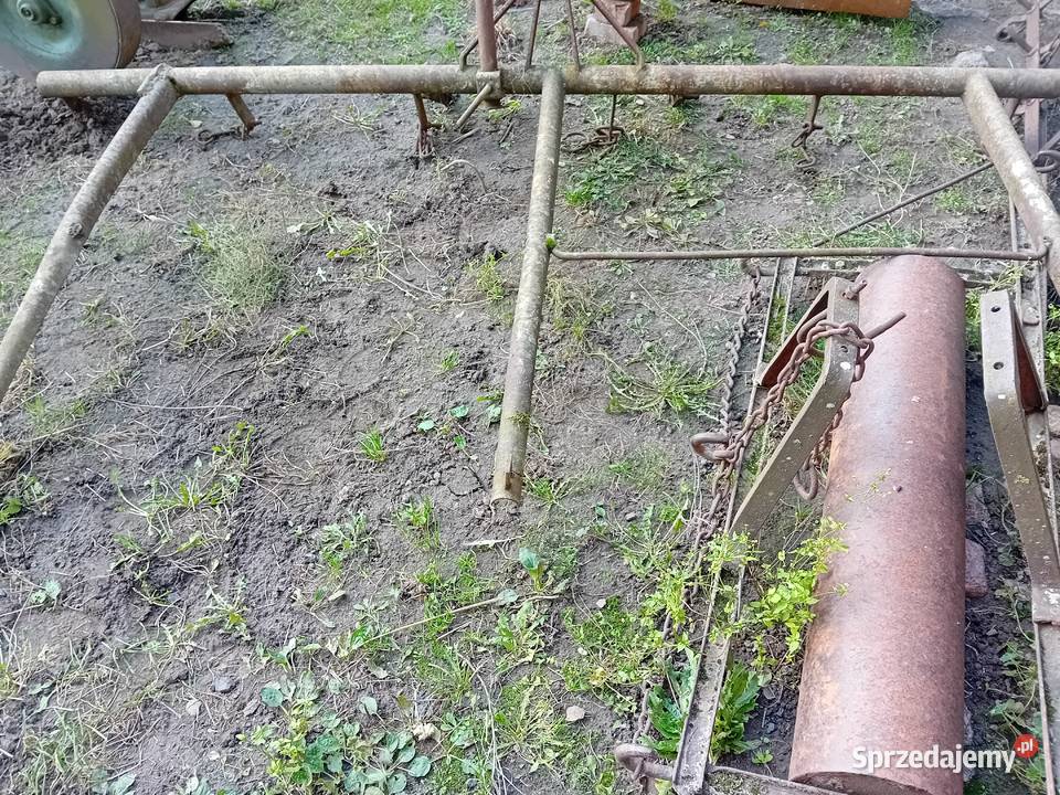 Brony 3 Brony Parzęczew