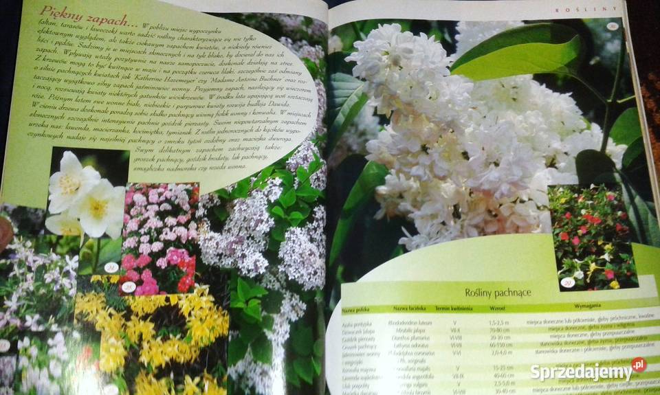 Działkowiec specjalny 12342004 Chełm