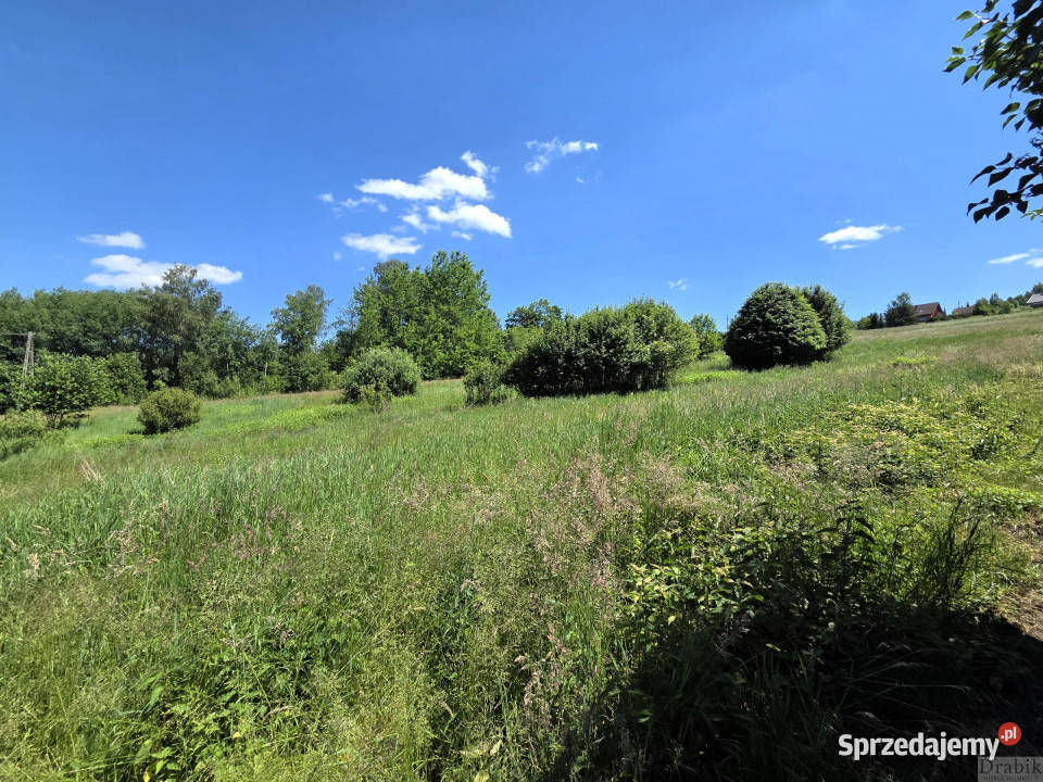 Działka Budzów 1600m2 prąd