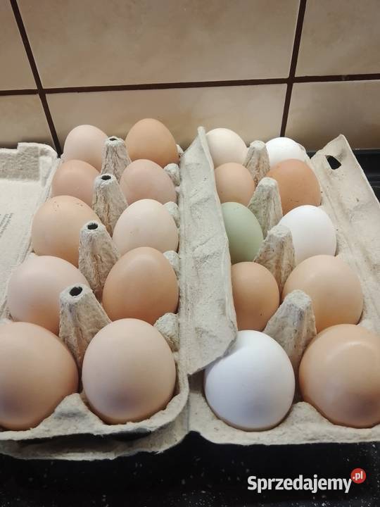 Jajka kur z wolnego wybiegu Sromowce Niżne
