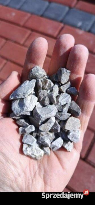 Ziemia czarna brunatna Łódź