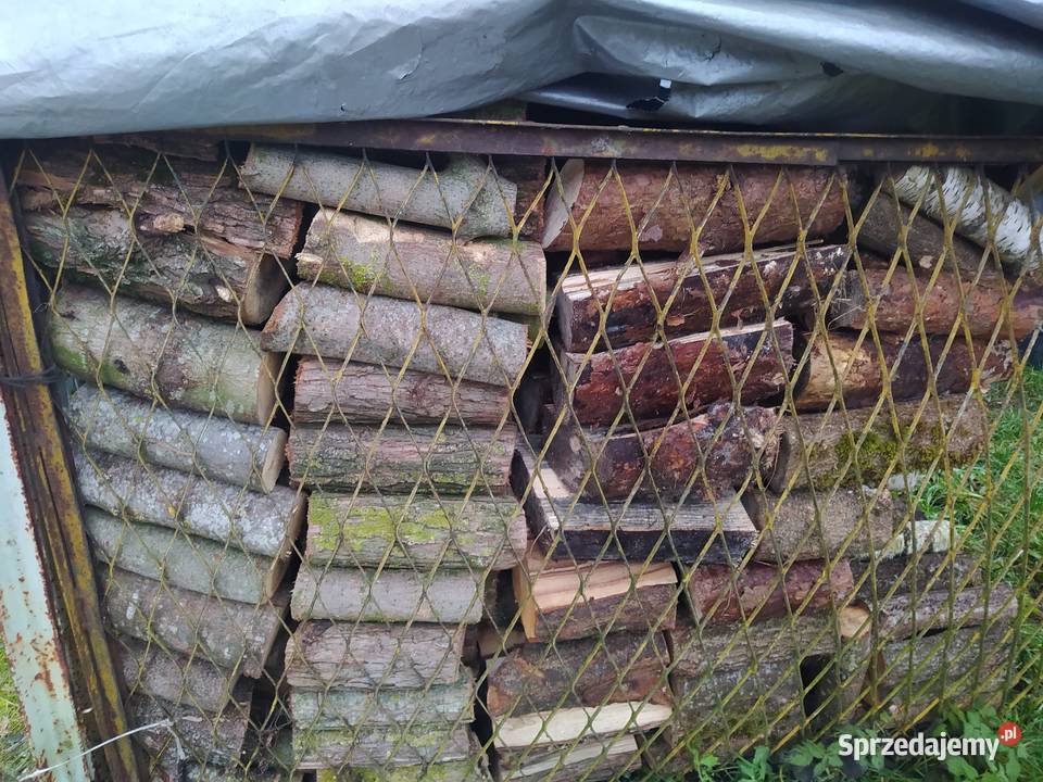 Sprzedam Drzewo Okazja