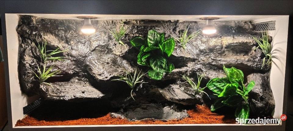 Terrarium hodowlane boa cesarskiego gekona Kędzierzyn-Koźle