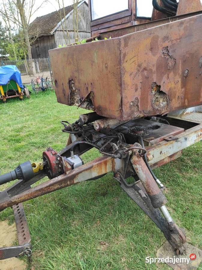 Cyklop Polski nieuszkodzony Wielkie Oczy