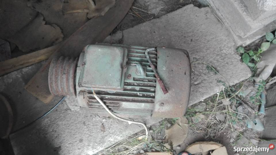 Sprzedam silnik do krajzegi