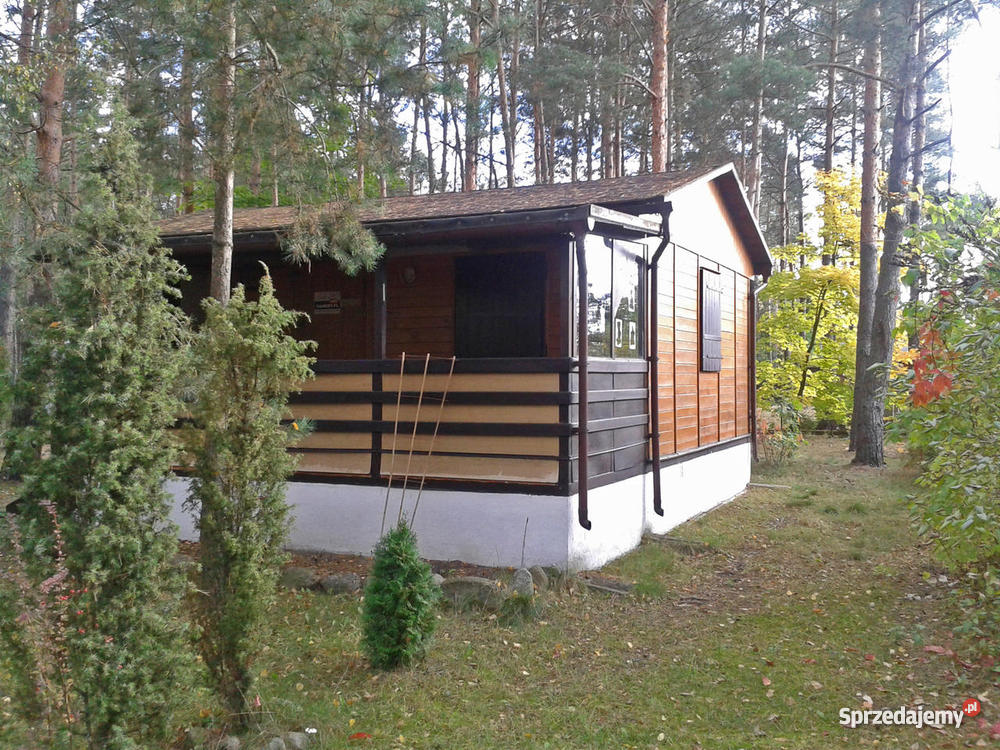 leśna działka z domkiem Błędowo kPomiechówka Błędowo