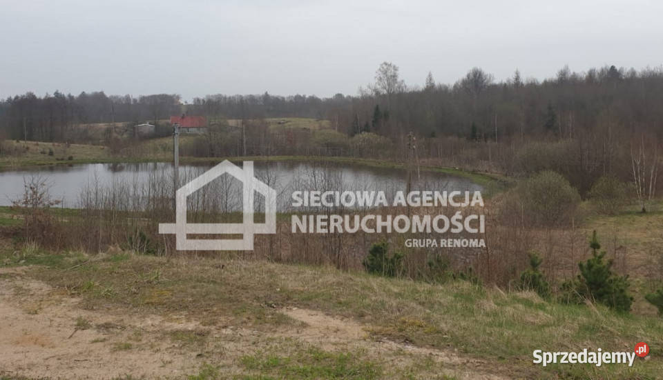 Grunt 3176m2 Kobysewo