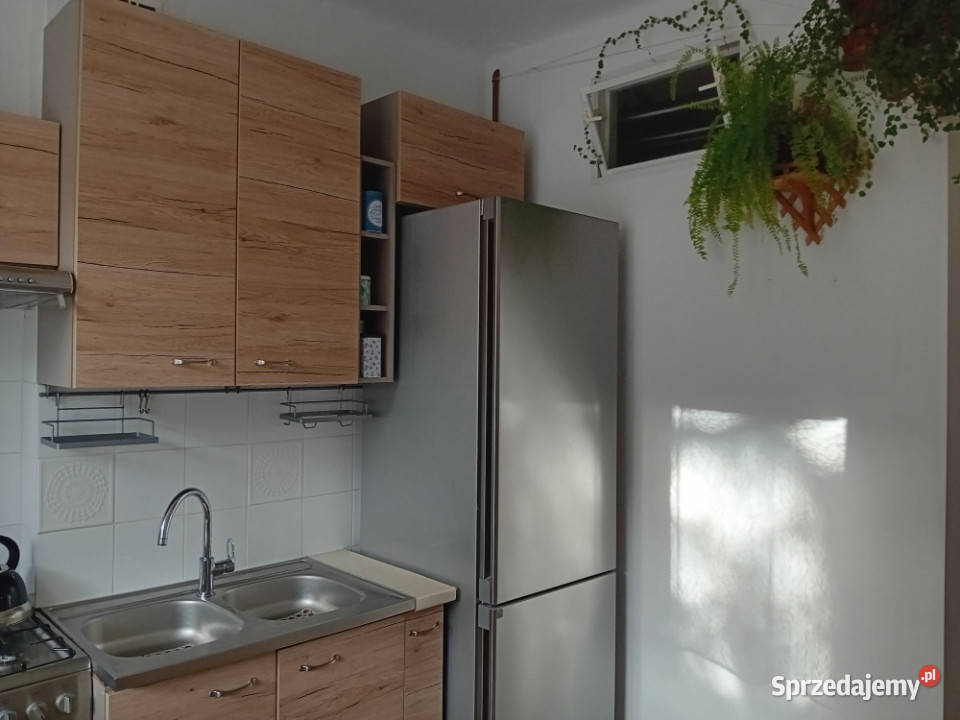 Widne 2 pokoje lasu Warszawa Rembertów Liczba pokoi 2