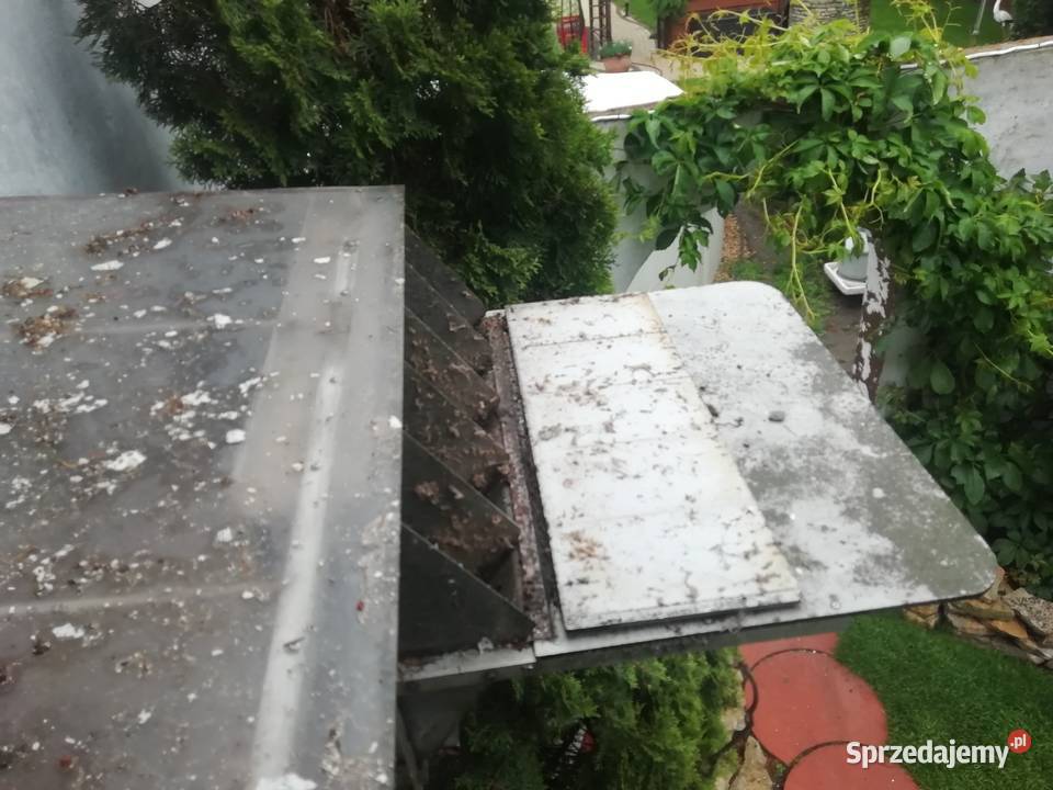 Klapa do gołębnika Lubliniec sprzedam