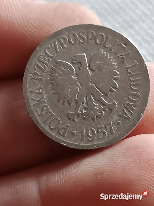 Sprzedam monete 50 groszy 1957 llll Numizmatyka Chełm