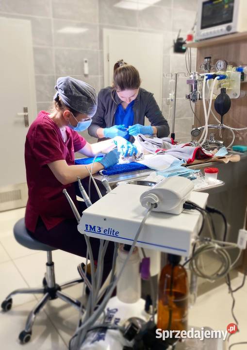 STÓŁ DENTYSTYCZNY WANNOSTÓŁ Pozostałe śląskie Myszków