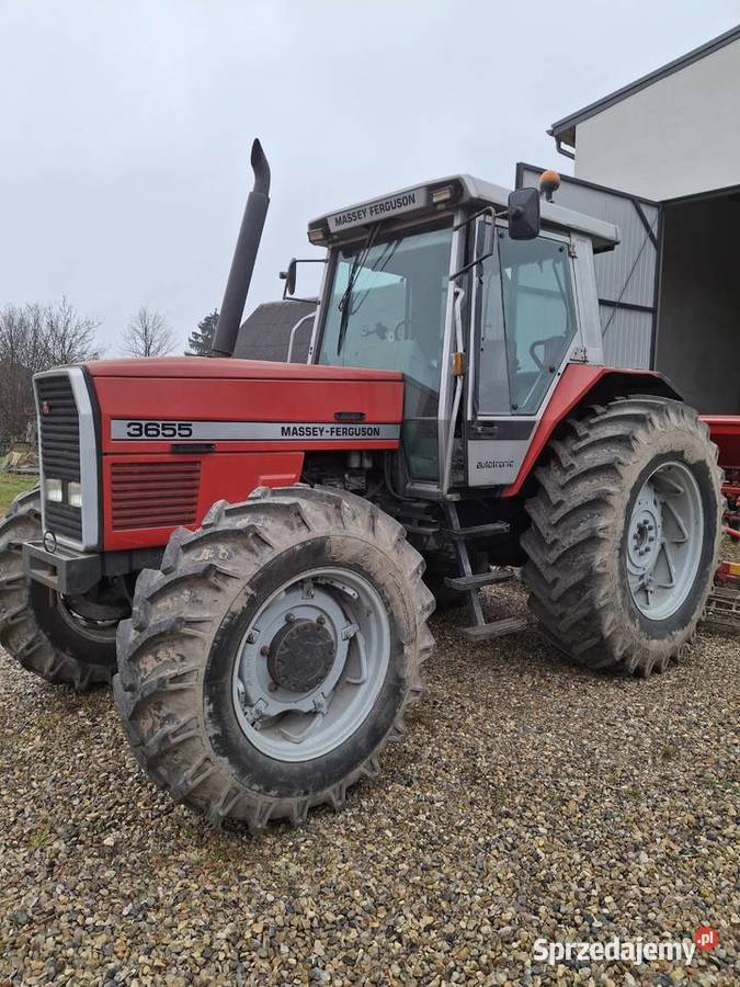 Massey Ferguson 3655 Półbiegi pod obciążeniem Zelów