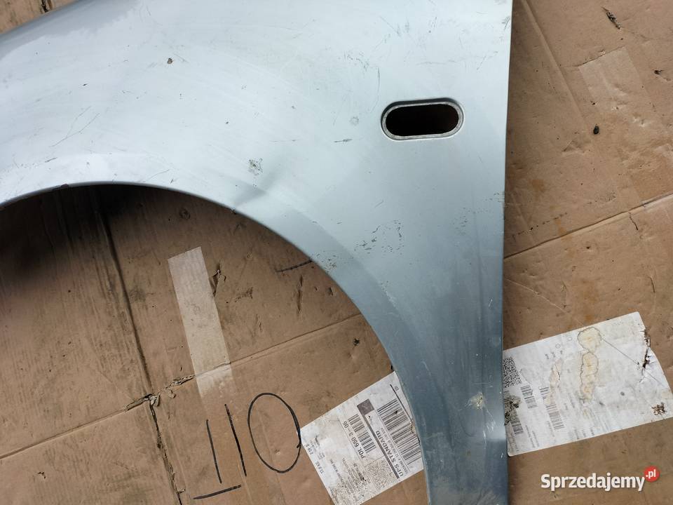 Polo 9N BŁOTNIK LEWY PRZÓD osobowe Kamień-Kolonia sprzedam