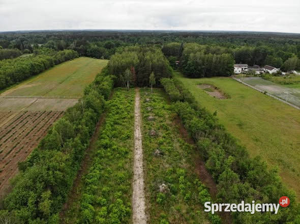 Działki budowlane Nowy Prażmów