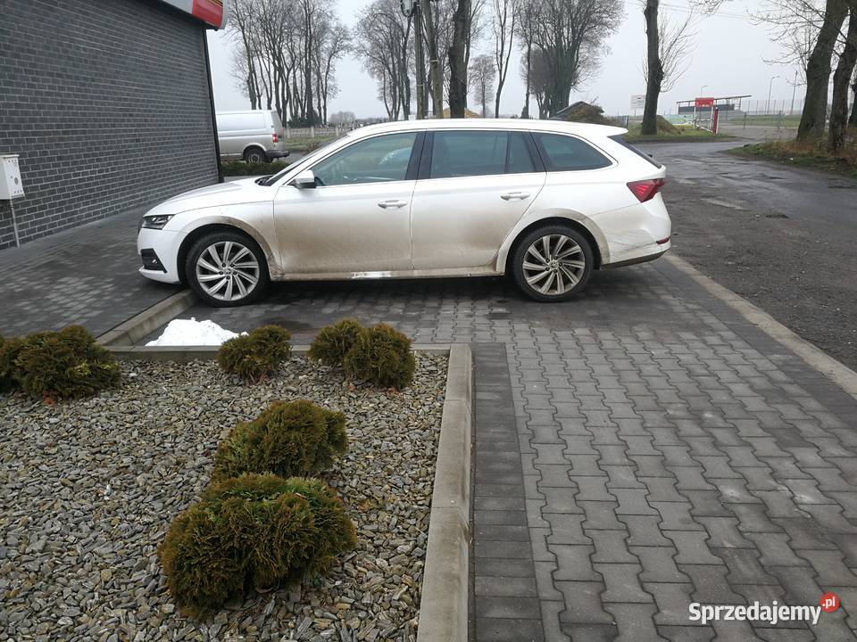 Skoda octawia Kalisz