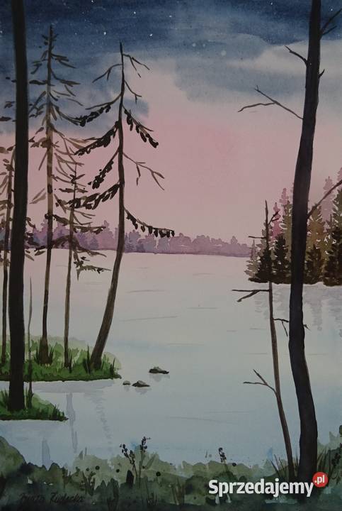 Akwarela Akwarelka Obraz pt Do Brzegu 26 x 18 Kazimierza Wielka