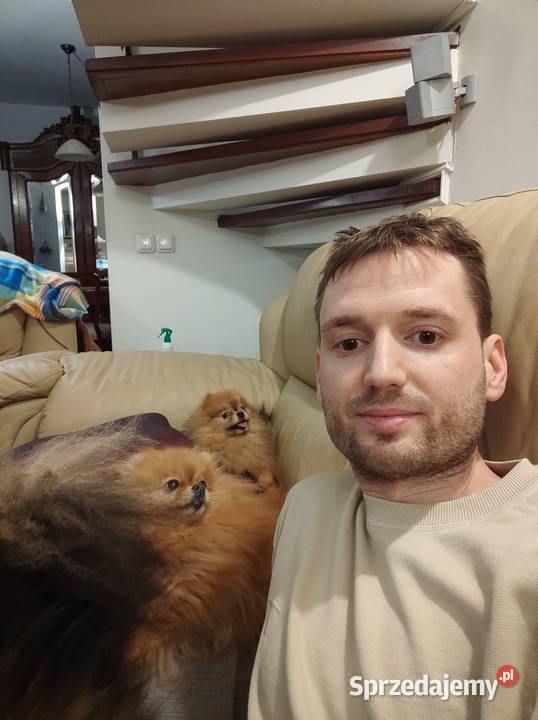 Petsitter Opieka psem Wyprowadzanie psów mazowieckie