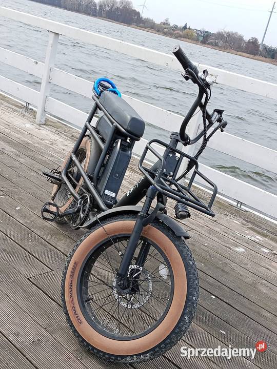 Rower Elektryczny Baicycle A15 Dwuosobowy Rowery elektryczne sprzedam