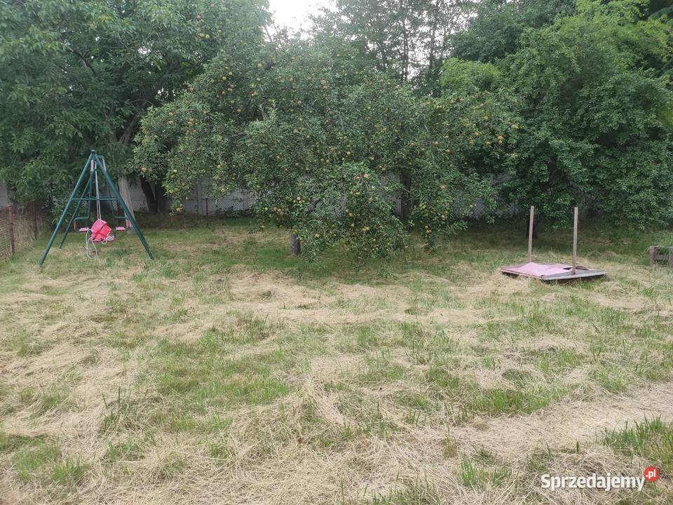 Ogródek działkowy ROD Różanecznik Wrocław dolnośląskie