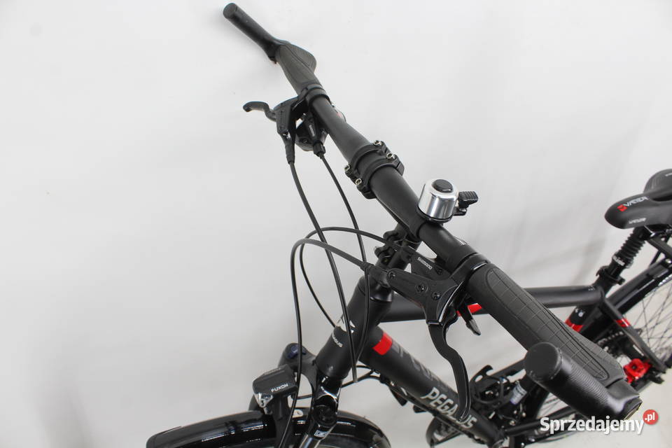 ALU rower męski PEGASUS 24 biegi Koła 28