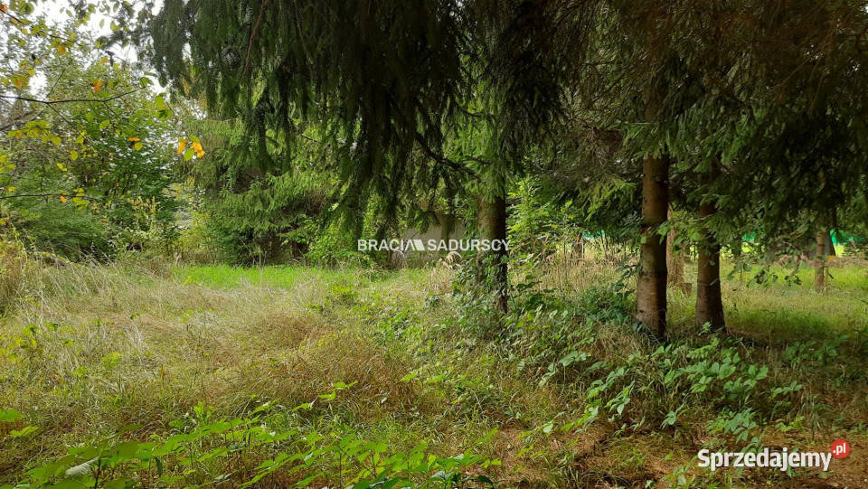 Grunt Lusina 450m2 Grunty i działki